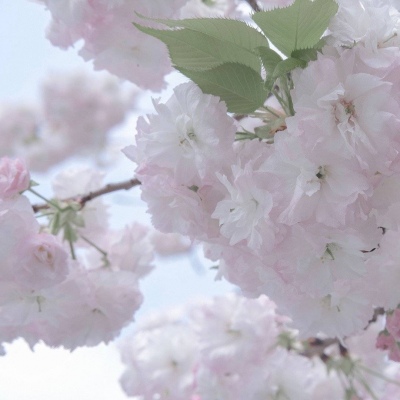 兽设天空场景绘制兽圈群